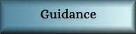 Guidance Button
